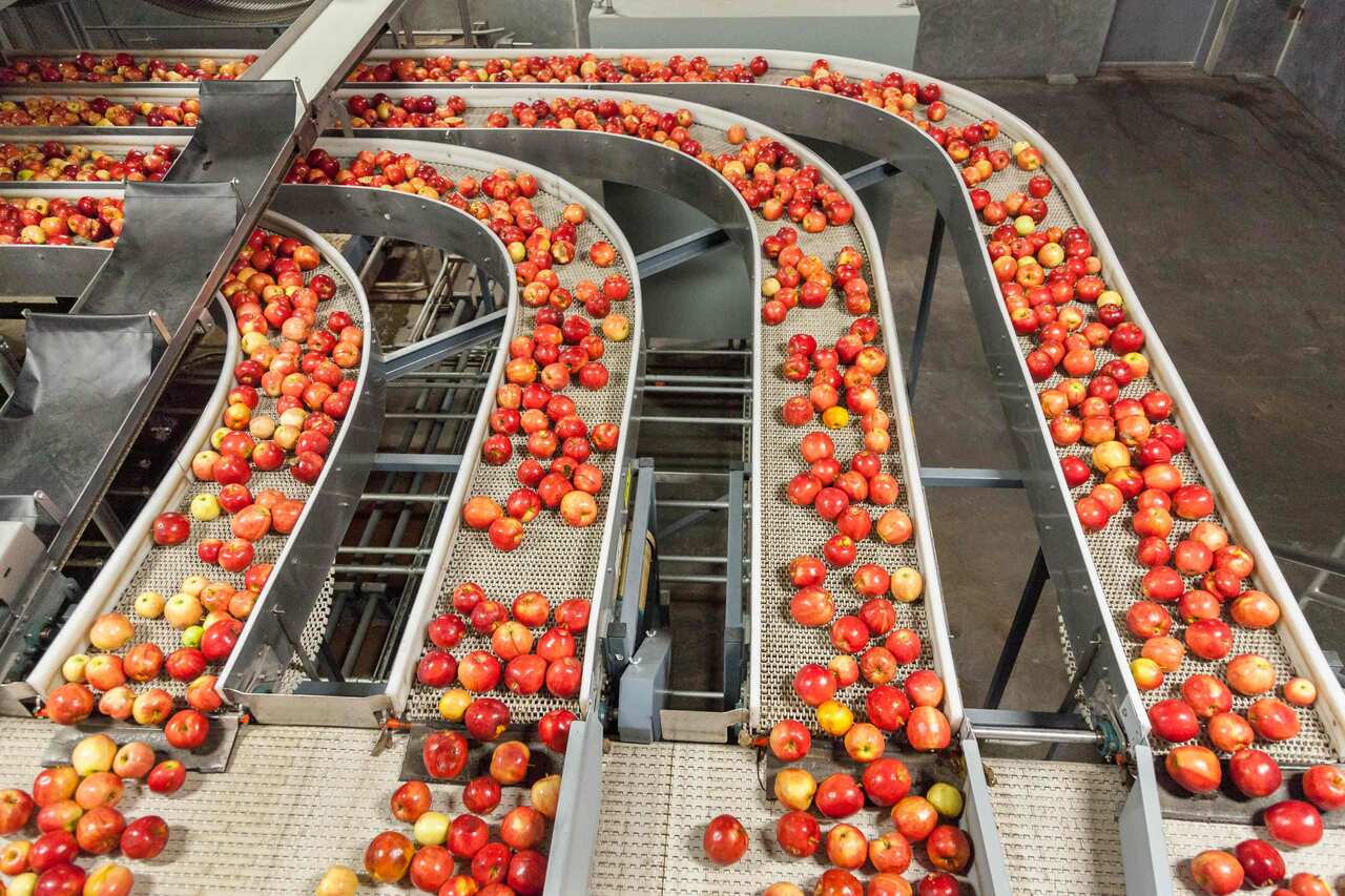 Food & Agriculture Image